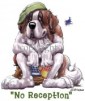 Saint_Bernard 1